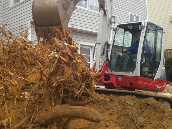 Carroll Bros. Contracting Excavating stump to make way for the new retaining wall