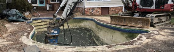 Making a Splash in the Pool Removal Business