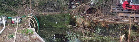 Overgrown Backyard Pool Removal