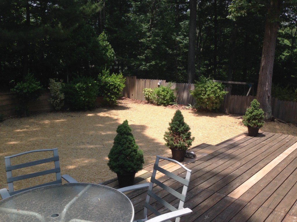 Carroll Bros. Contracting Severna Park pool removal 