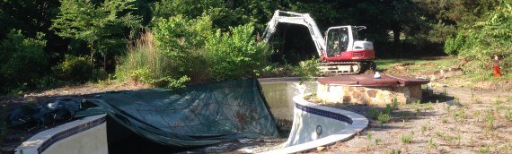 Annapolis Pool Removal
