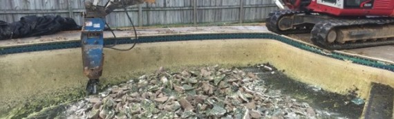 Arnold Pool Removal
