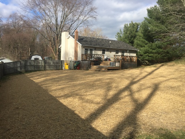 Carroll Bros. Contracting Arnold Pool Removal Results