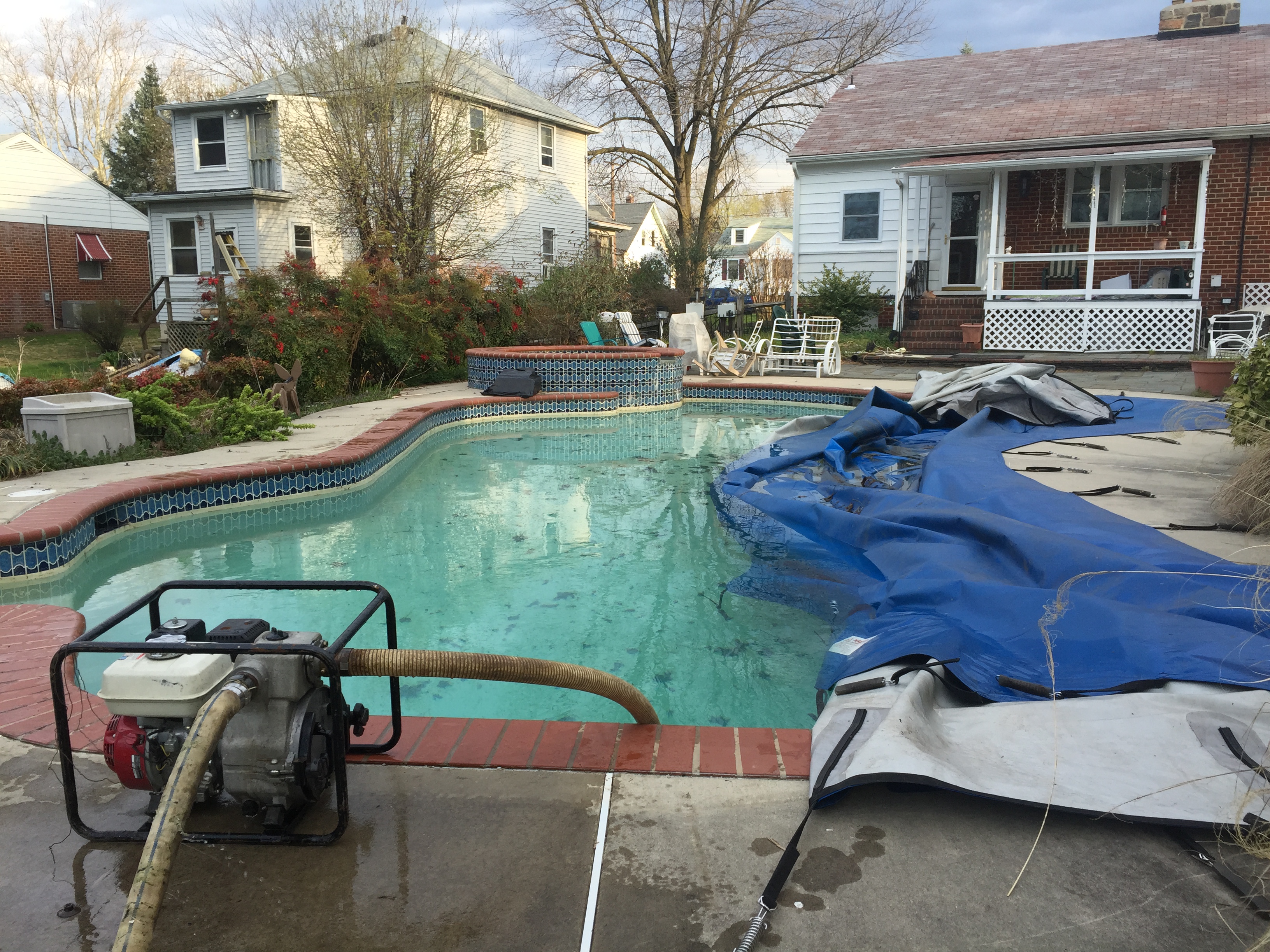 arbutus pool removal 2