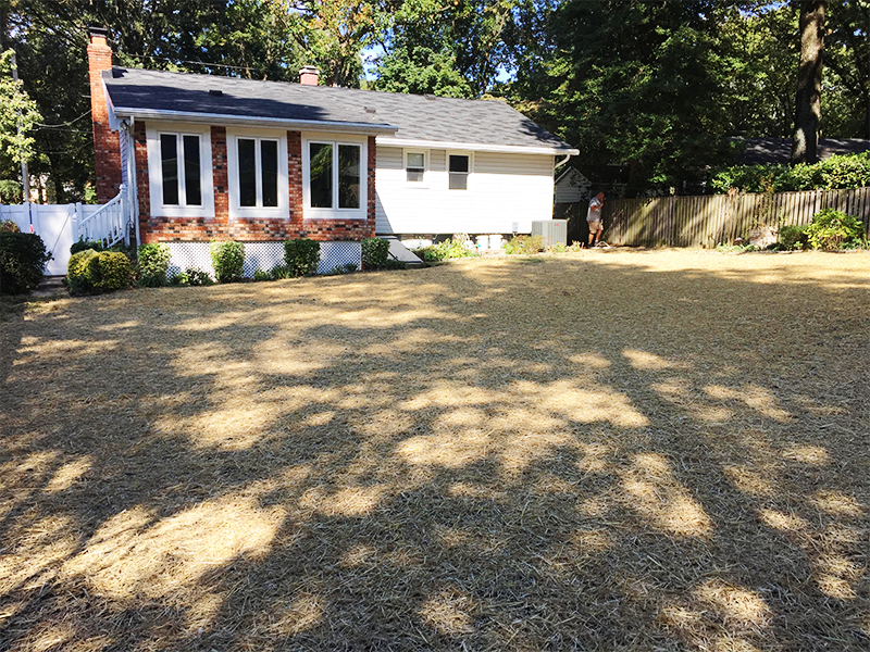 pool removal in Annapolis, MD 3