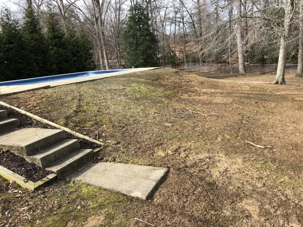 Vinyl Liner Swimming Pool Removal in Charles County