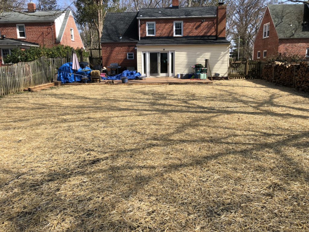 After Vinyl Pool Removal in Pikesville
