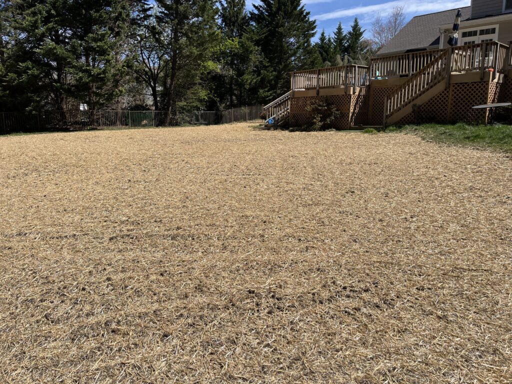 After Concrete Pool Removal in Edgewater Maryland